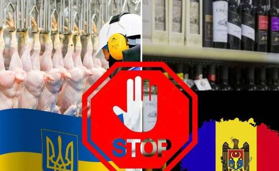 Украина готовит ограничительные меры против молдавского вина: что известно - agroexpert.md