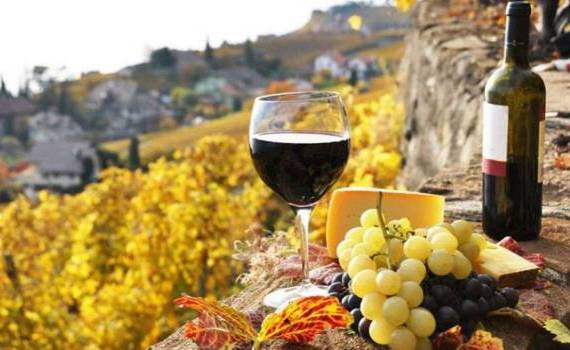 export vinuri - agroexpert.md