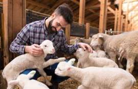 Granturi AGGRI 2026 - AGROEXPERT.MD