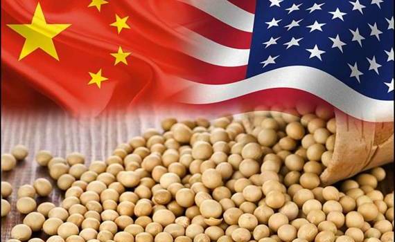 Фьючерсы на сою снизились: рынок реагирует на переговоры США и Китая - agroexpert.md