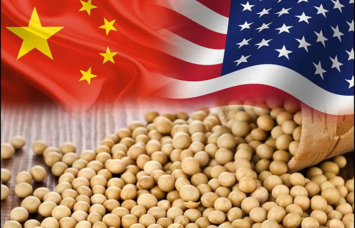 Фьючерсы на сою снизились: рынок реагирует на переговоры США и Китая - agroexpert.md
