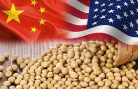 Фьючерсы на сою снизились: рынок реагирует на переговоры США и Китая - agroexpert.md