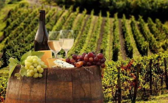 vinuri - agroexpert.md