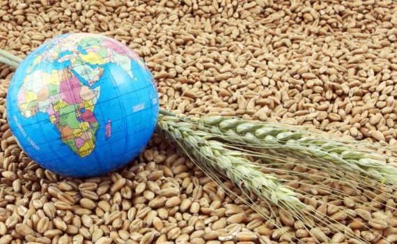 Мировой рынок в четверг: пшеница, кукуруза и соя подешевели - agroexpert.md