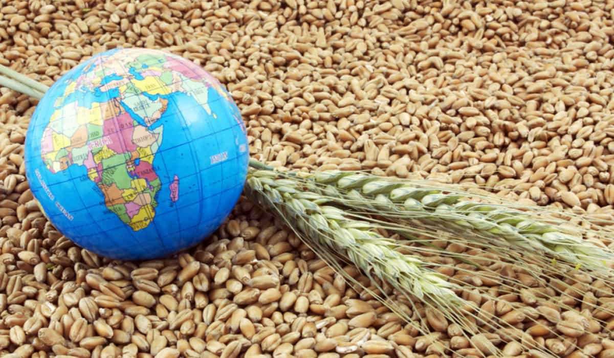 Мировой рынок в четверг: пшеница, кукуруза и соя подешевели - agroexpert.md