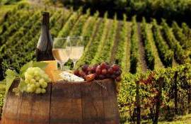 vinuri - agroexpert.md