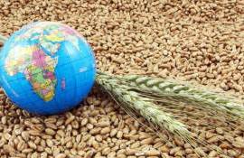 Мировой рынок в четверг: пшеница, кукуруза и соя подешевели - agroexpert.md