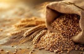 Цены пшеницы в украинских портах перестали расти и стабилизировались - agroexpert.md