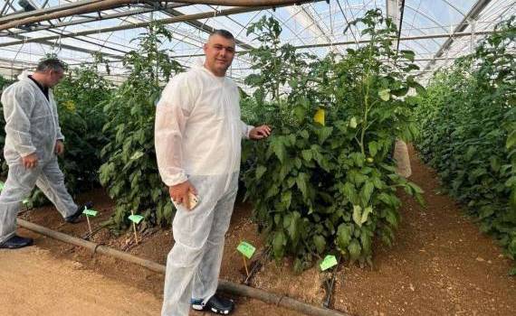 Seră modernă la Criuleni - AGROEXPERT.MD