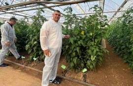 Seră modernă la Criuleni - AGROEXPERT.MD