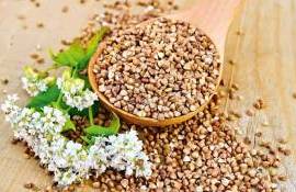 Урожай гречки в Украине: самые низкие показатели за последние 25 лет - agroexpert.md