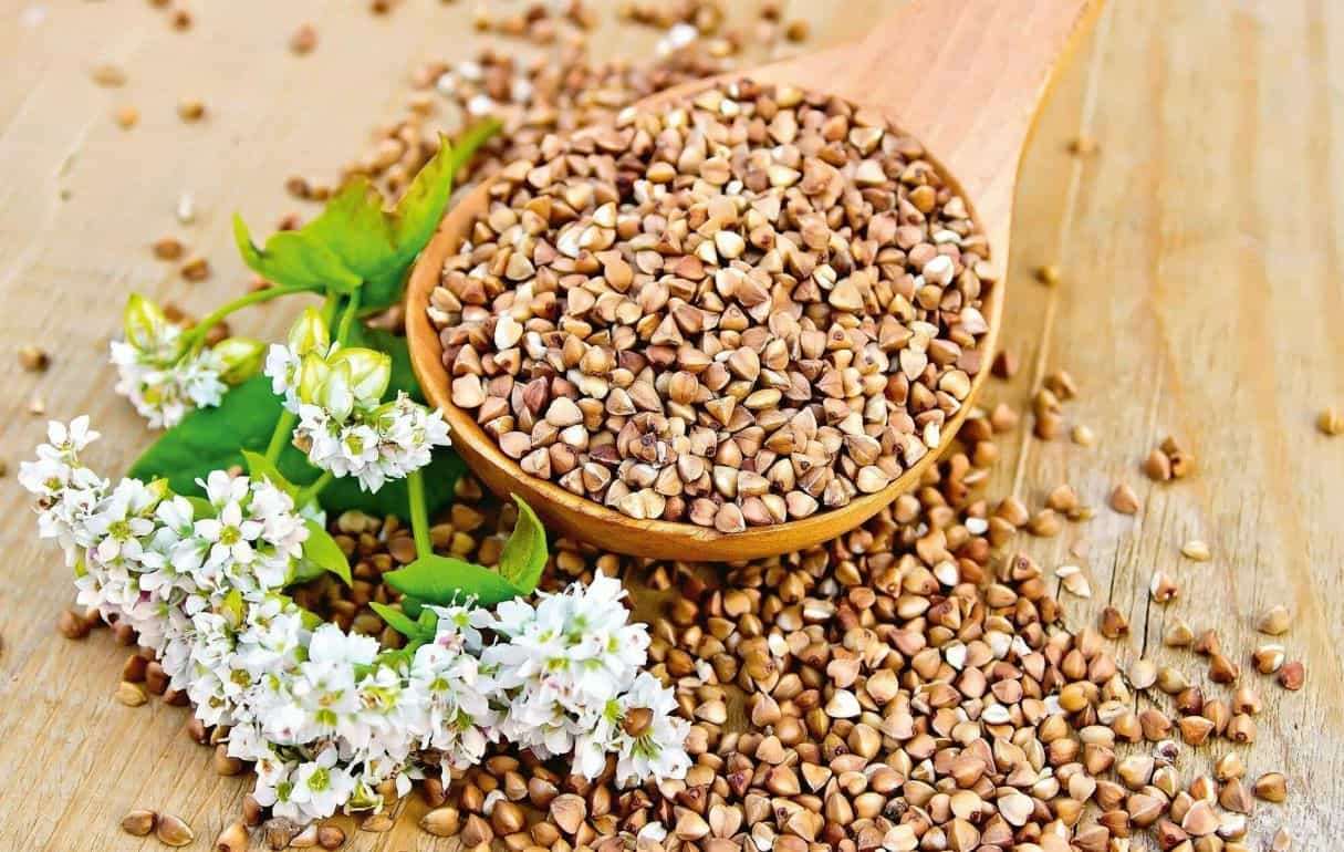 Урожай гречки в Украине: самые низкие показатели за последние 25 лет - agroexpert.md