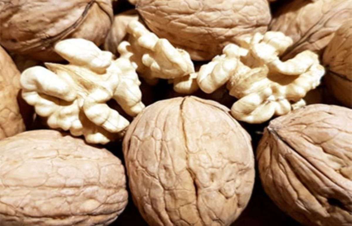 Февральский всплеск: цены на молдавский орех выросли до 3,5 евро/кг - agroexpert.md