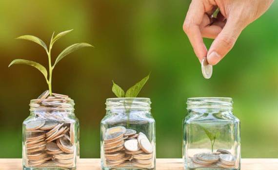 Programul politicii agricole 2026 - AGROEXPERT.MD 