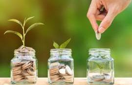 Programul politicii agricole 2026 - AGROEXPERT.MD 