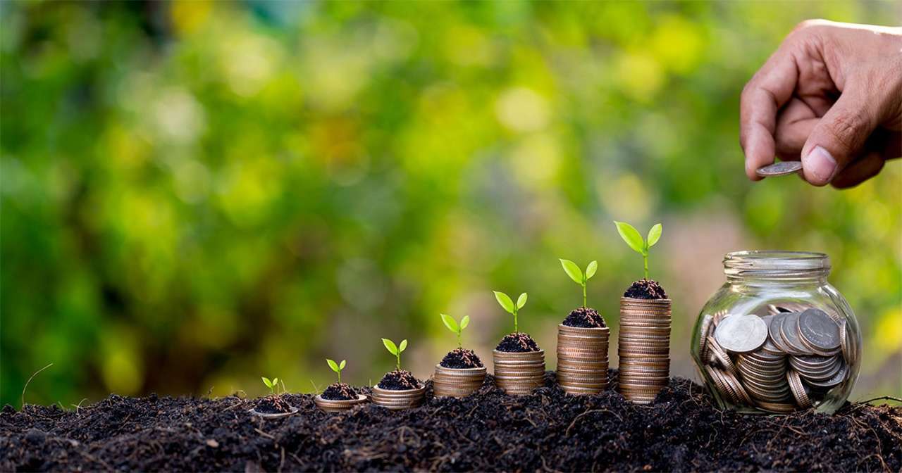 Granturi pentru fermieri - agroexpert.md