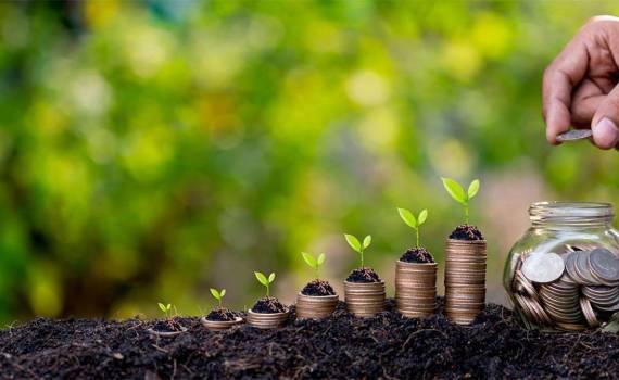 Granturi pentru fermieri - agroexpert.md