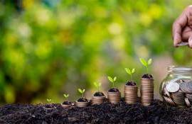 Granturi pentru fermieri - agroexpert.md