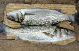 braconaj piscicol - agroexpert.md