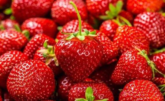 Неожиданный скачок майских цен на клубнику в Молдове - agroexpert.md