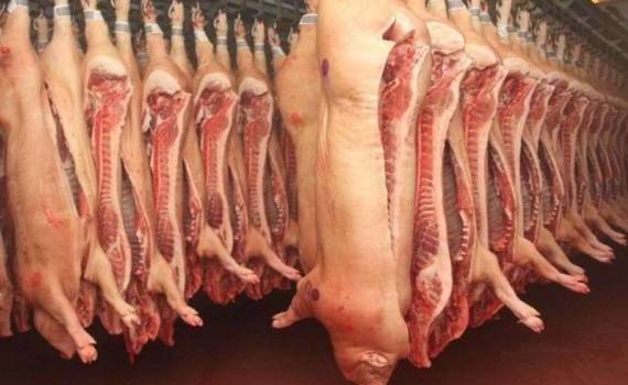Rabobank: мировой рынок свинины скорректирует производство в 2026 году - agroexpert.md