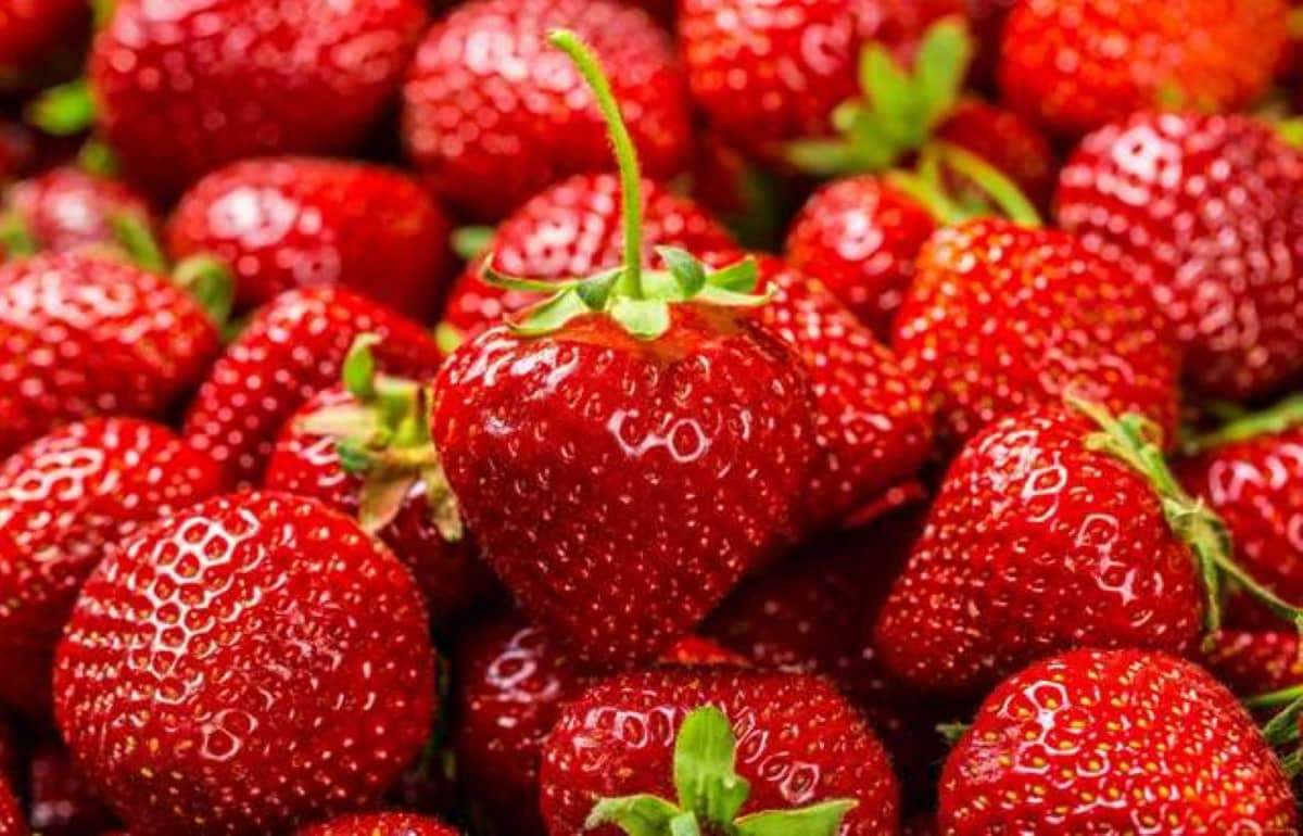Неожиданный скачок майских цен на клубнику в Молдове - agroexpert.md