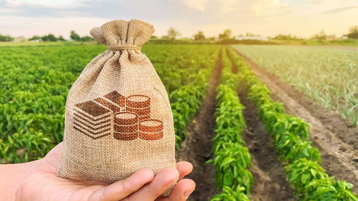 subvenții pentru fermieri - agroexpert.md