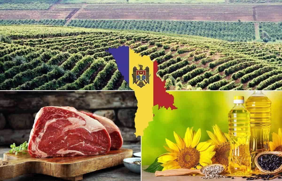 Аграрное производство Молдовы выросло почти на 14% в 2025 году - agroexpert.md