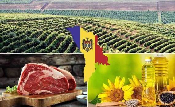 Аграрное производство Молдовы выросло почти на 14% в 2025 году - agroexpert.md
