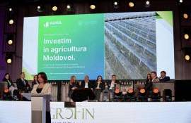 Granturi, credite și subvenții: oportunitățile prezentate la AgroFin - agroexpert.md