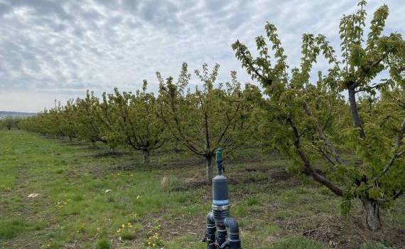 Cum influențează calitatea apei eficiența tratamentelor în livezi - agroexpert.md