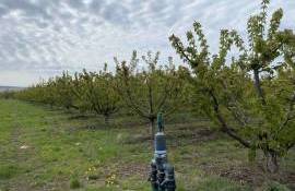 Cum influențează calitatea apei eficiența tratamentelor în livezi - agroexpert.md