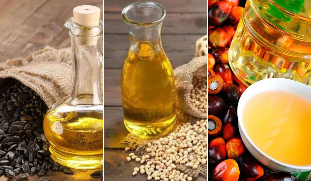 Рост нефтяных котировок поднимает цены на растительные масла - agroexpert.md