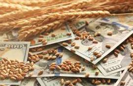 Цены на румынскую пшеницу растут из-за снижения ожидаемого урожая в ЕС - agroexpert.md