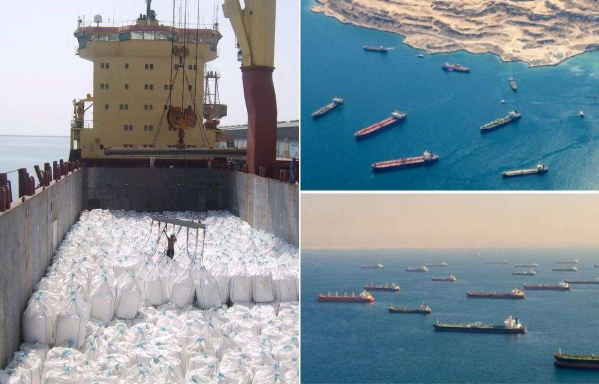 Три из десяти крупнейших экспортеров карбамида могут выпасть с рынка - agroexpert.md