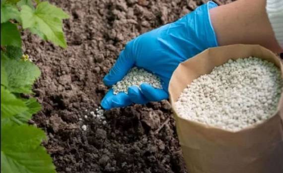 ЕС предоставляет поддержку аграриям для приобретения удобрений - agroexpert.md