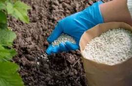 ЕС предоставляет поддержку аграриям для приобретения удобрений - agroexpert.md