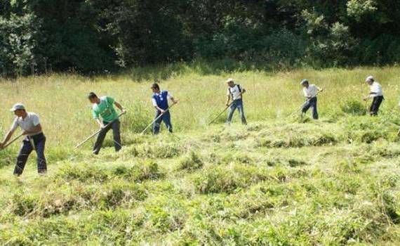 Munca zilierilor, înregistrată digital: Sistemul e-Zilieri a fost aprobat - agroexpert.md
