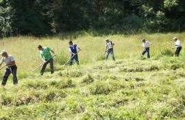 Munca zilierilor, înregistrată digital: Sistemul e-Zilieri a fost aprobat - agroexpert.md