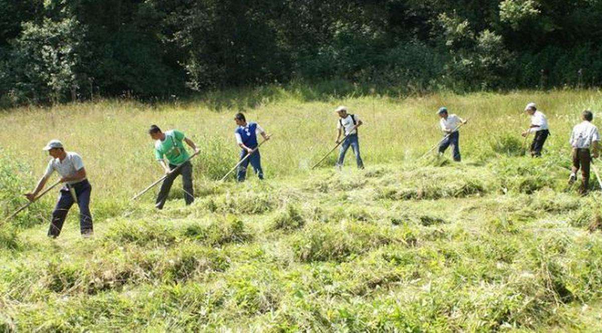 Munca zilierilor, înregistrată digital: Sistemul e-Zilieri a fost aprobat - agroexpert.md