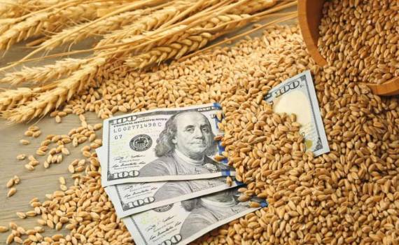 Рынок пшеницы между ростом и падением: на фоне китайских обещаний - agroexpert.md