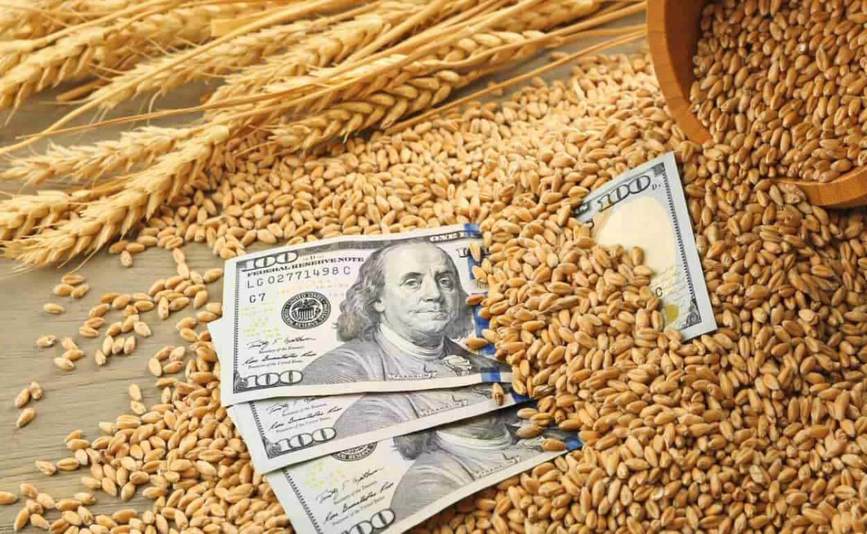 Рынок пшеницы между ростом и падением: на фоне китайских обещаний - agroexpert.md
