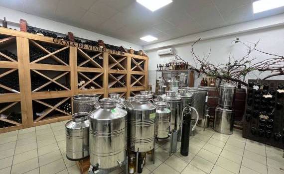 Ce spun vinificatorii despre centrul de inovații de la UTM - agroexpert.md