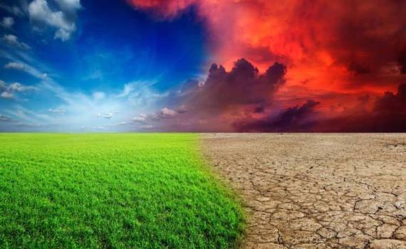 Как погода может повлиять на мировые аграрные рынки в ближайшее время - agroexpert.md