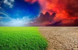 Как погода может повлиять на мировые аграрные рынки в ближайшее время - agroexpert.md