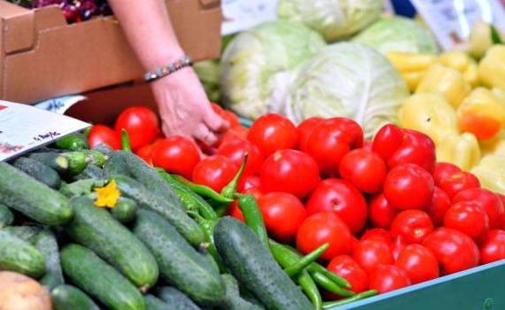 controalele ANSA privind reziduurile de pesticide - agroexpert.md