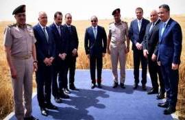 Египет вкладывает миллиарды для выращивания пшеницы в пустыне - agroexpert.md