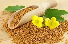 ЕС в 2025/26 маркетинговом году нарастил импорт семян горчицы - agroexpert.md