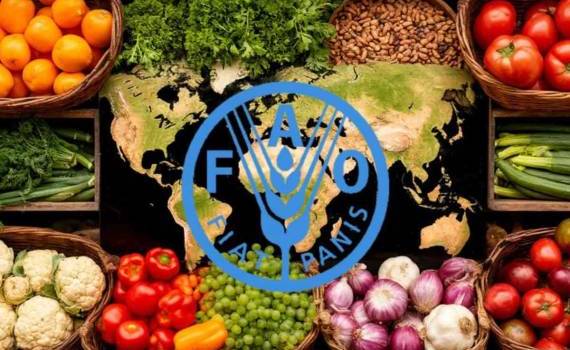 Индекс продовольственных цен ФАО вырос впервые за пять месяцев - agroexpert.md