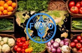 Индекс продовольственных цен ФАО вырос впервые за пять месяцев - agroexpert.md